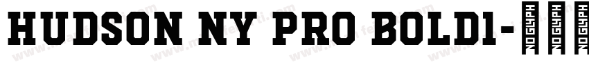 Hudson NY Pro Bold1字体转换